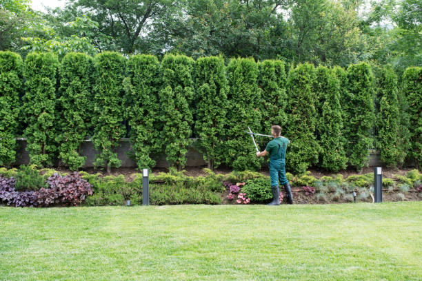 Best Organic Lawn Care Solutions  in Flordell Hills, MO